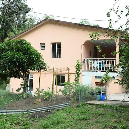 Maison Lavanne Saint-Joseph Esterno foto
