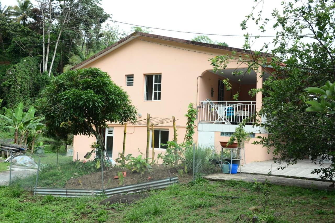 Maison Lavanne Saint-Joseph Esterno foto